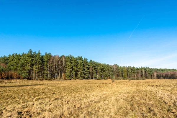 Paysage printanier précoce de champs ruraux et de forêts — Photo