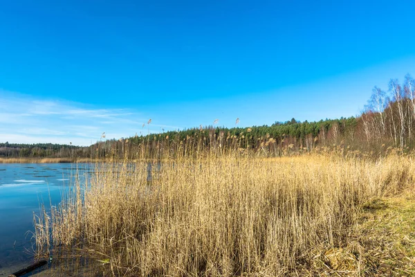 青い空と天気の良い春の風景、湖に分かれる — ストック写真