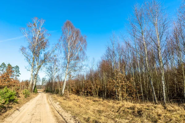 Грязьовий дорожній пейзаж ранньої весни в сільських пейзажах під блакитним небом — стокове фото