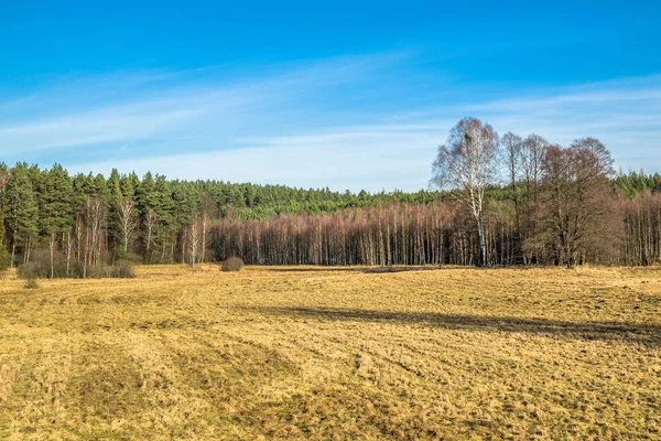 Paisaje de primavera de campo y bosque — Foto de Stock