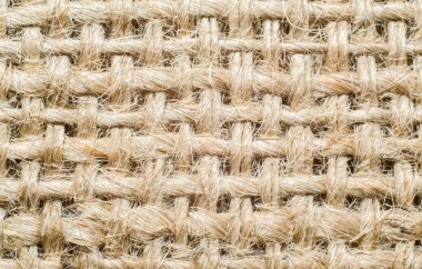 Arka plan ile tuval doku, makro liflerinin