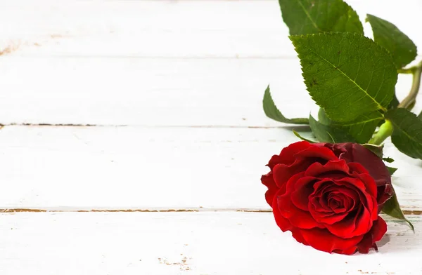 Red rose, valentines day card on wooden background Royalty Free Stock Photos