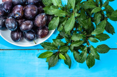 Mor Erik, ahşap masa, sonbahar mevsim meyveleri arka planlar üzerinde ıslak meyve