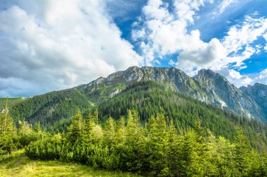 Bahar, yeşil orman ve mavi gökyüzü, Tatras, Karpatlar, Polonya dağlarda peyzaj