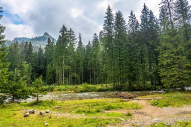 Dağ nehir içinde Vadisi Tatra Dağları'nın, peyzaj