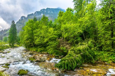 Manzara nehir ve dağ herdem yeşil orman tarafından çevrili