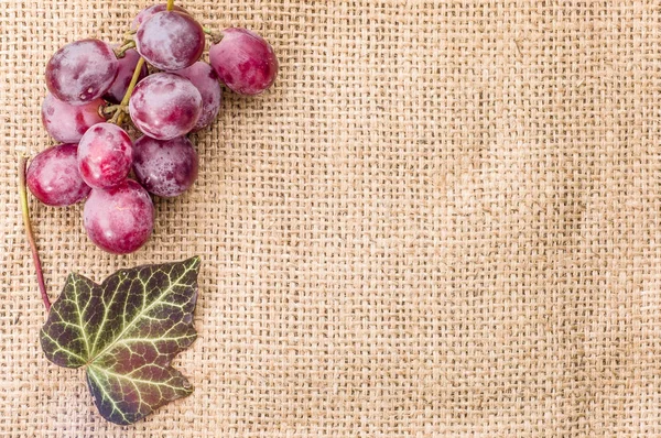 Червоний виноград, букет на сільському тлі, концепція здорового харчування — стокове фото