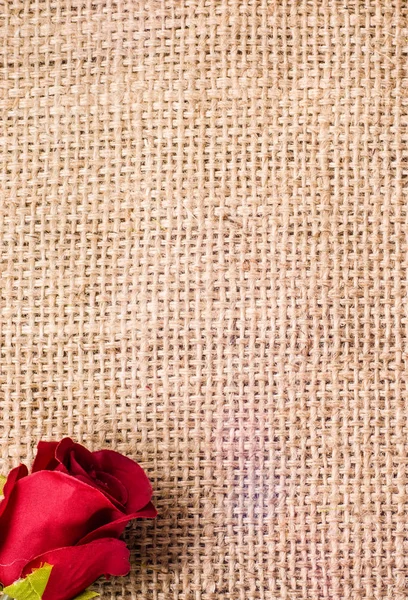 Rosas vermelhas no fundo rústico, convite de casamento, dia das mulheres — Fotografia de Stock