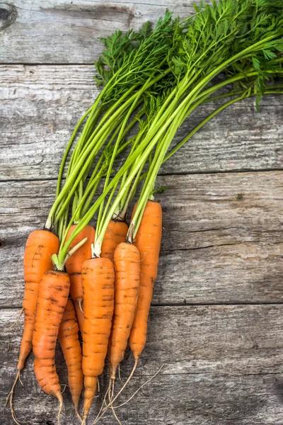 Свежая морковь с листьями. Овощи на фермерском рынке — стоковое фото