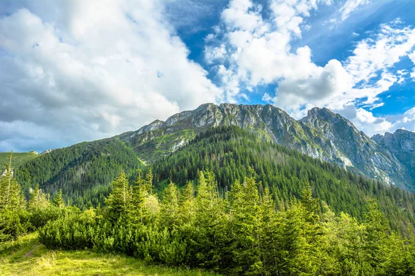 Krajobraz gór w wiosna, zielony las i niebieski niebo, Tatry, Karpaty, Polska — Zdjęcie stockowe