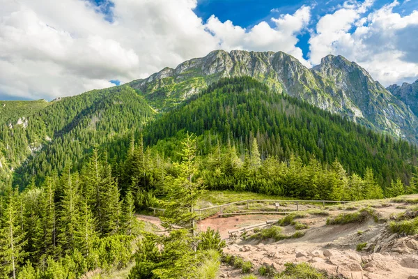 Panorama of mountain range, view on top of Giewont, Carpathians, landscape, Poland