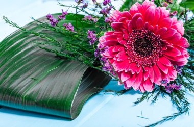 Kadın gün çiçek, pembe gerbera daisy ahşap arka plan üzerinde kartıyla çerçeve