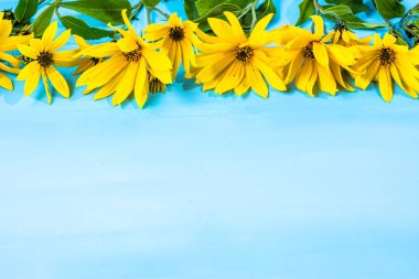 Arka plan bahar çiçekleri, kopya alanı ile çerçeve