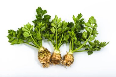 Kök kereviz, yeşil sebze beyaz arka plan üzerinde izole