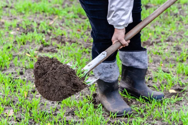 Coltivazione giardino, scavo del terreno, preparazione per la semina. Giardinaggio in primavera . — Foto Stock