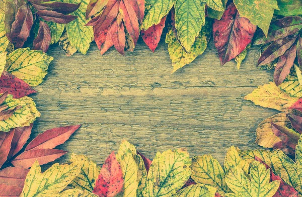 Farbenfrohe Herbsttapete, fallende Blätter auf Holzgrund — Stockfoto