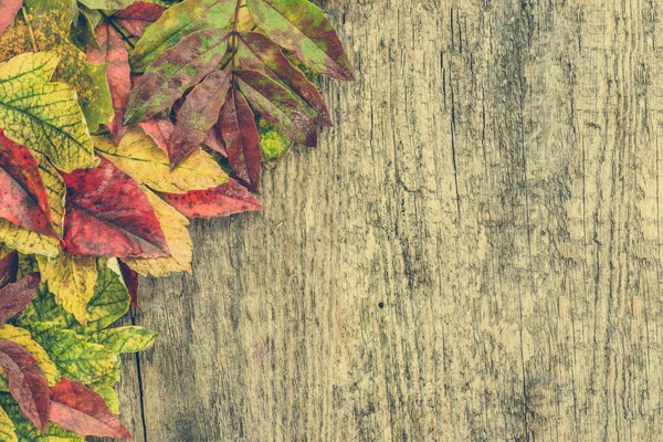 Herbst Blätter auf hölzernem Hintergrund, Herbst Tapete — Stockfoto