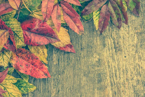 Autumn leaves background, fall wallpaper with colorful leaves on wooden background