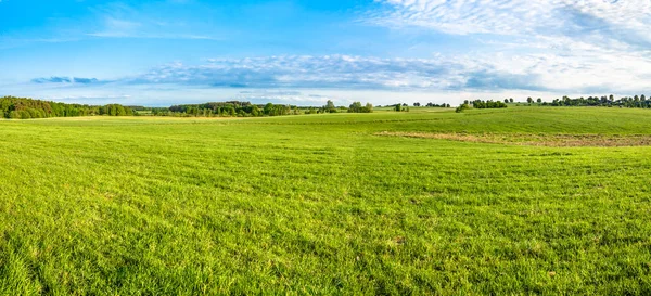 Zielone pole i błękitne niebo, panoramiczny widok na łąkę z świeżej trawy — Zdjęcie stockowe