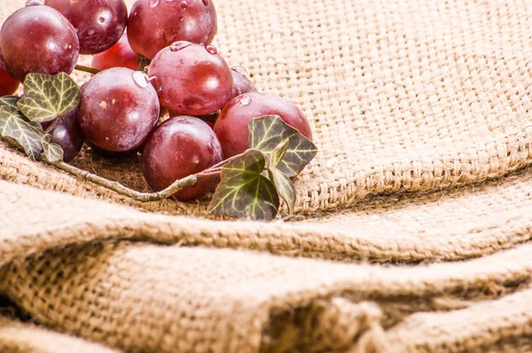 Червоний виноград, букет на сільському тлі, концепція здорового харчування — стокове фото