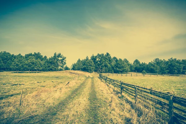 Camino y campo, paisaje, paisaje rural con valla de madera — Foto de Stock