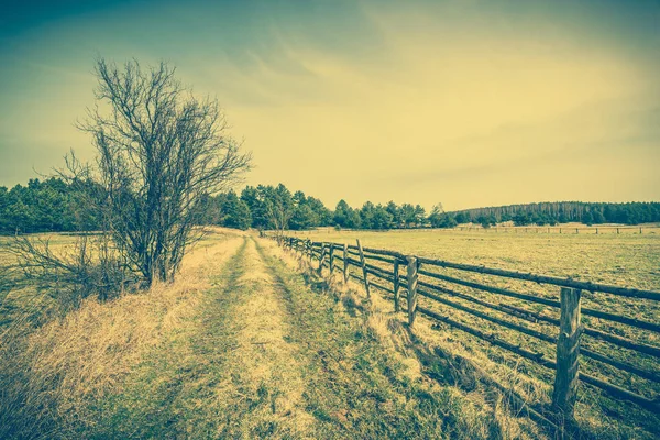 Road and field, landscape, countryside scenery with wooden fence — Stock Photo, Image