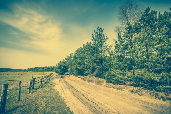 Camino de campo a través de campo, paisaje, pinos y valla de madera — Foto de Stock