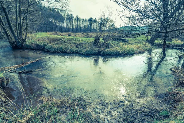Paisaje del río en el bosque de primavera —  Fotos de Stock