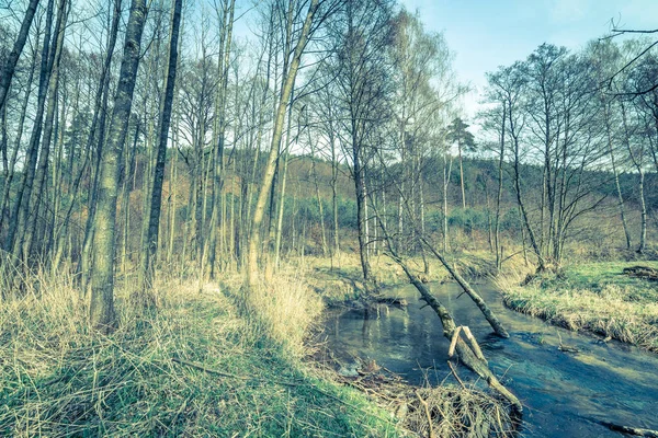 Paisaje del río en el bosque de primavera —  Fotos de Stock