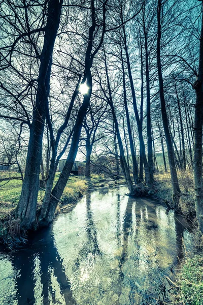 Paisaje de primavera temprana con río en el bosque y pueblo rural, pintoresca escena de la naturaleza, foto vintage —  Fotos de Stock