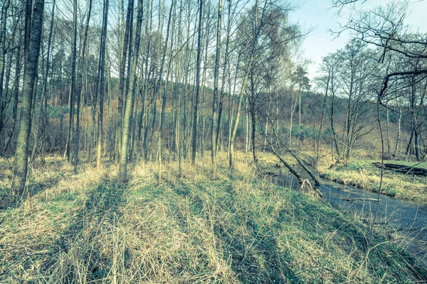 Paysage de la rivière dans la forêt du début du printemps — Photo