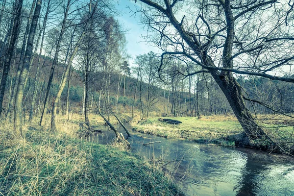 Пейзаж річки в ранньому весняному лісі — стокове фото