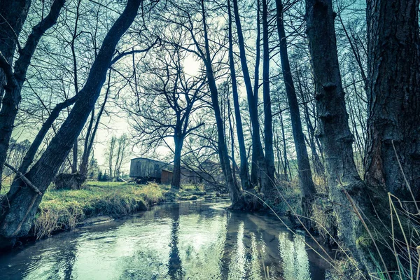 Tidlig vårlandskap med elv i skog, landskap – stockfoto