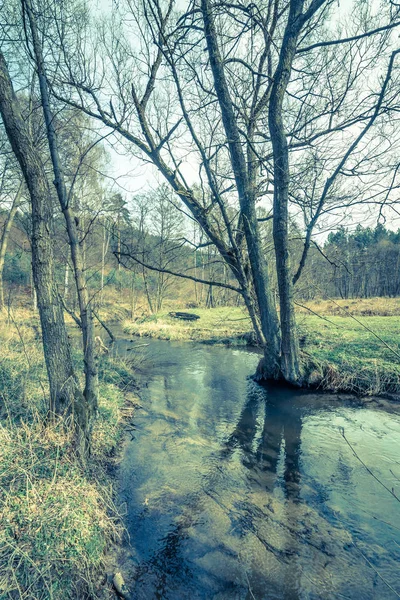 Paisaje del río en el bosque de primavera —  Fotos de Stock