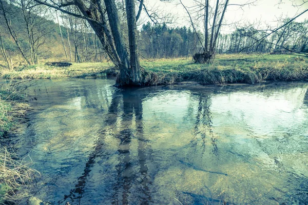 Landskap på elv i tidlig vårskog – stockfoto