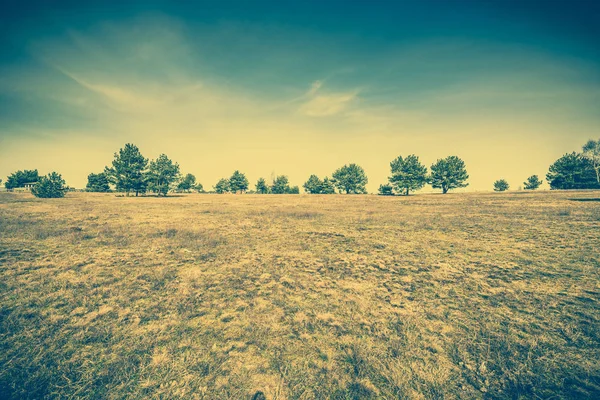 Paisaje rural de campo con hierba seca en primavera — Foto de Stock