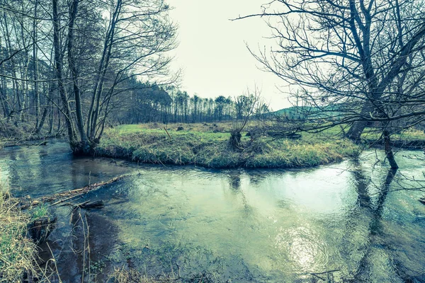 田舎の風景、春の森の川の風景 — ストック写真