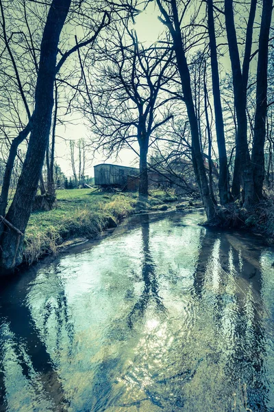 Landskap over elv i skogen om våren, landskap – stockfoto