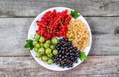 Yaz meyve çeşitleri: kırmızı kuş üzümü, beyaz kuş üzümü ve blackcurrants plaka üzerinde ana sayfa görünümü
