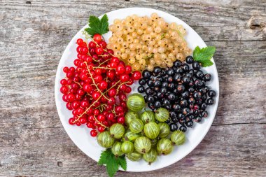 Yaz meyve çeşitleri: kırmızı kuş üzümü, beyaz kuş üzümü ve blackcurrants plaka üzerinde ana sayfa görünümü