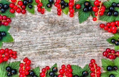 Metin şablonu ile ahşap arka plan üzerinde meyveleri taze kuş üzümü ile meyve çerçeve