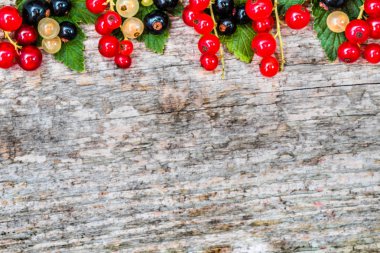 Metin şablonu ile ahşap arka plan üzerinde meyveleri taze kuş üzümü ile meyve çerçeve