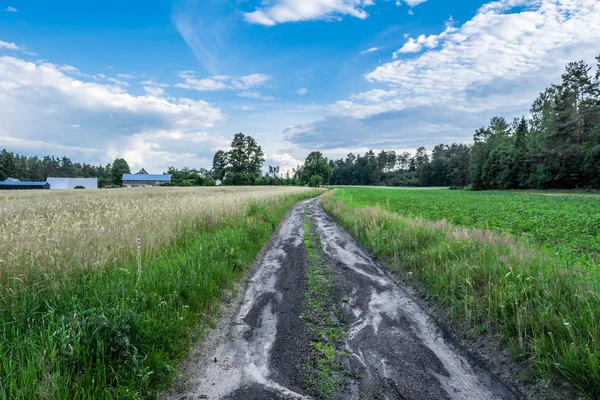 Chemin de terre à travers les terres agricoles au village en été, landsca — Photo