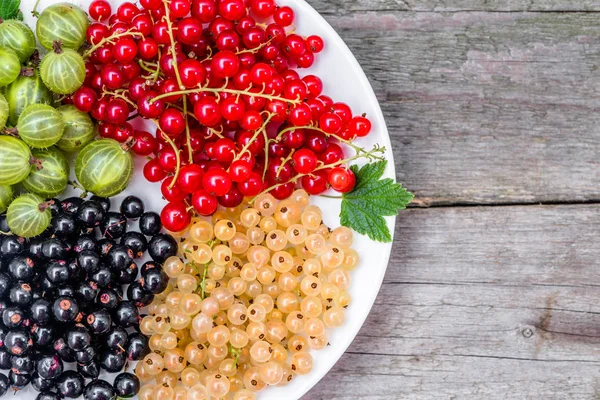 Καλοκαιρινά φρούτα ποικιλίες: κόκκινα φραγκοστάφυλα, λευκό φραγκοστάφυλα και μαύρα φραγκοστάφυλα στο πιάτο, κάτοψη — Φωτογραφία Αρχείου