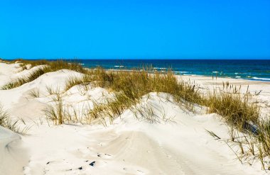 Kum tepeleri çim ve mavi gökyüzü, yaz tatili, altında ıssız kumsalı ile arka plan seyahat