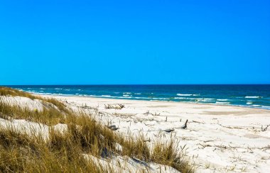 Kum tepeleri çim ve mavi gökyüzü, yaz tatili, altında ıssız kumsalı ile arka plan seyahat