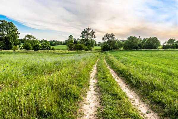Landstraße und grüne Feldlandschaft mit launischem Himmel — Stockfoto