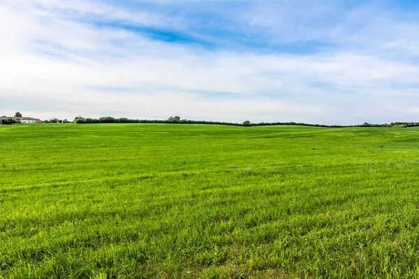 Himmel, Straße und grünes Feld, Frühlingslandschaft — Stockfoto