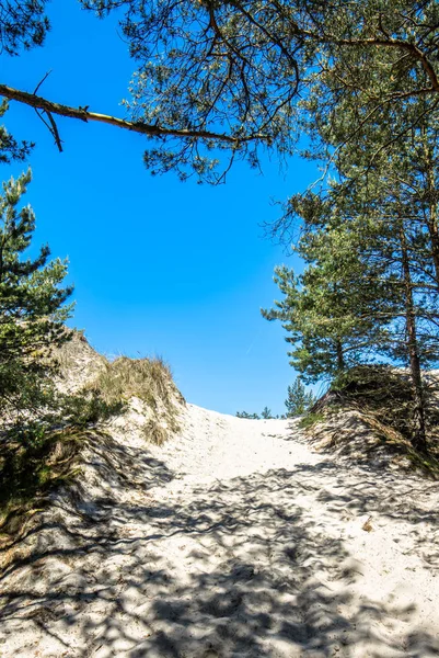 Ingresso alla spiaggia mare in estate, paesaggio — Foto Stock