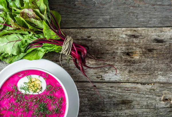 Холодний суп з листям буряка та овочами зелень, концепція вегетаріанської кухні — стокове фото